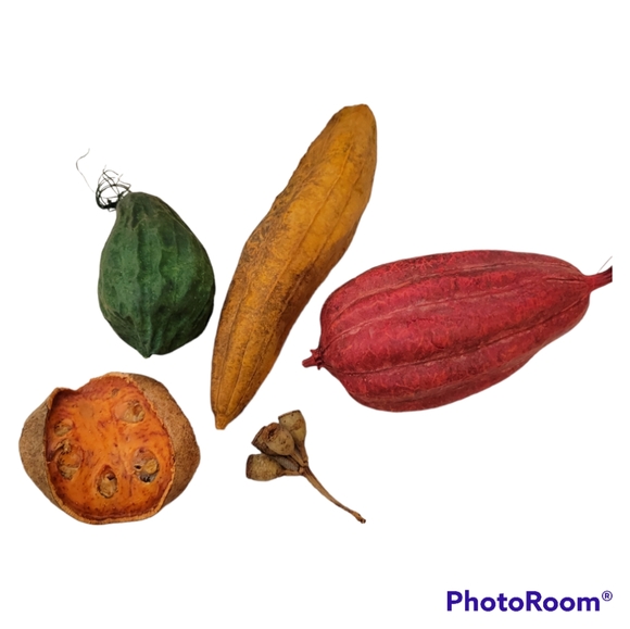 Dried Various Items Aprox 50 Items ( 1" to 4" each) - Picture 2 of 7